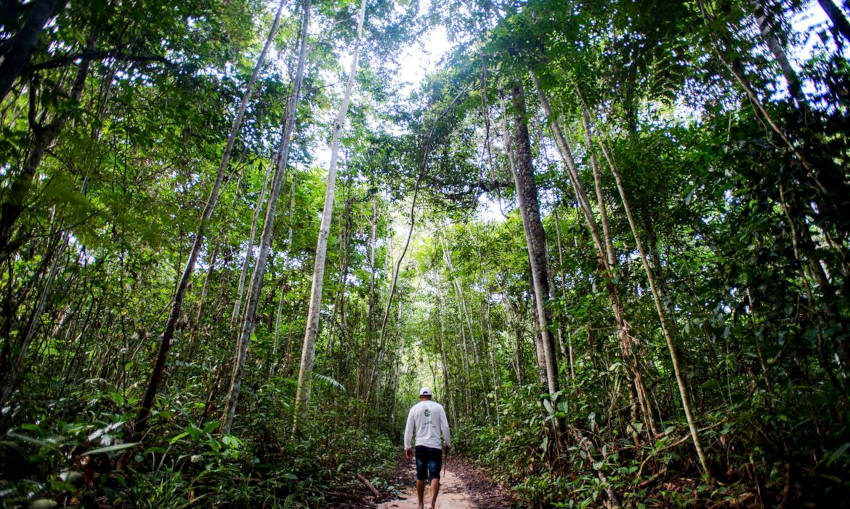 Com Lula, Brasil bateu recorde de hectares destinados às áreas protegidas. | Foto: Marcelo Camargo/Agência Brasil