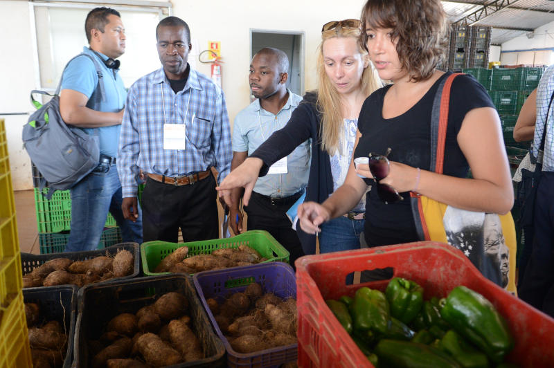 PAA virou modelo para países africanos e beneficiou 5 mil agricultores. | Foto: Antonio Cruz/Agência Brasil